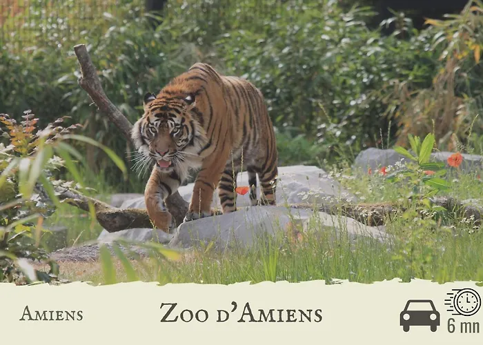 Le D'or - 35m2 - Terrasse - Bbq - Wifi Hd * Amiens