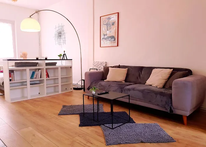 Le D'or - 35m2 - Terrasse - Bbq - Wifi Hd Appartement *