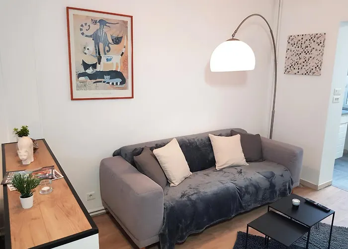 Appartement Le D'or - 35m2 - Terrasse - Bbq - Wifi Hd Amiens